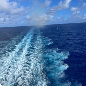 Meet your Posher, Blacey